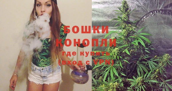 соль ск Белокуриха