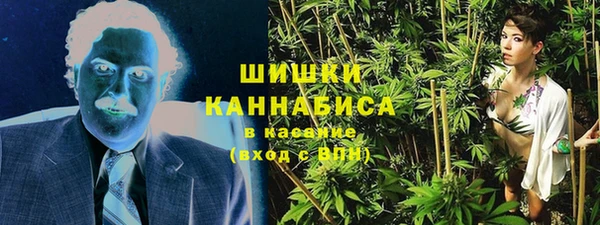соль ск Белокуриха