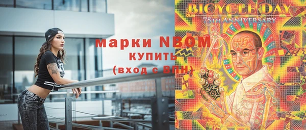 соль ск Белокуриха
