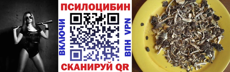 mega ссылка Верхняя Тура Псилоцибиновые грибы MAGIC MUSHROOMS хочу наркоту
